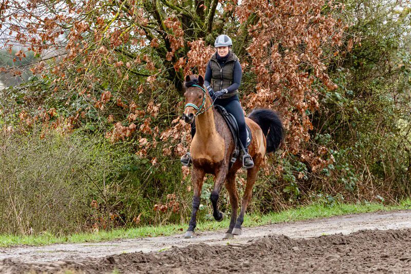 Ronja Leis Trophy Distanzreiten Vet Check Statement