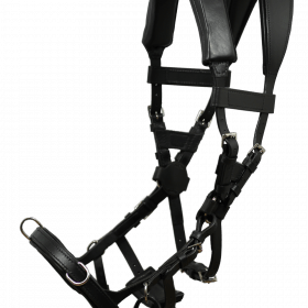 NeXaver® Leder Longierzaum