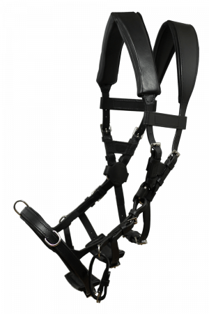 NeXaver® Leder Longierzaum