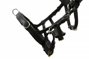 NeXaver® Leder Longierzaum