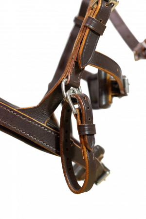 NeXaver® Leder Longierzaum