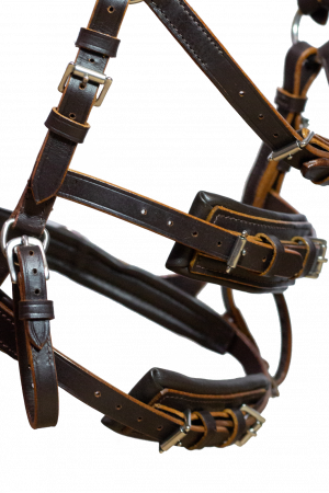 NeXaver® Leder Longierzaum