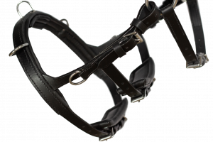 NeXaver® Leder Longierzaum