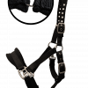 NeXaver® Weidehalfter