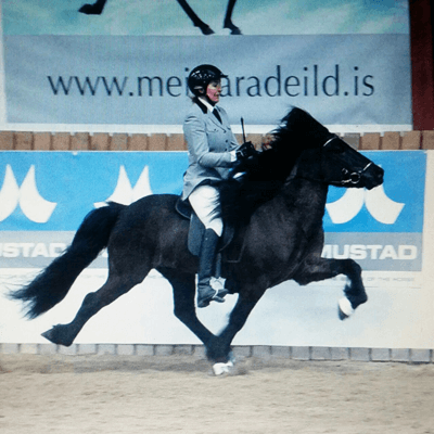 Erfahrungen mit Quittpad