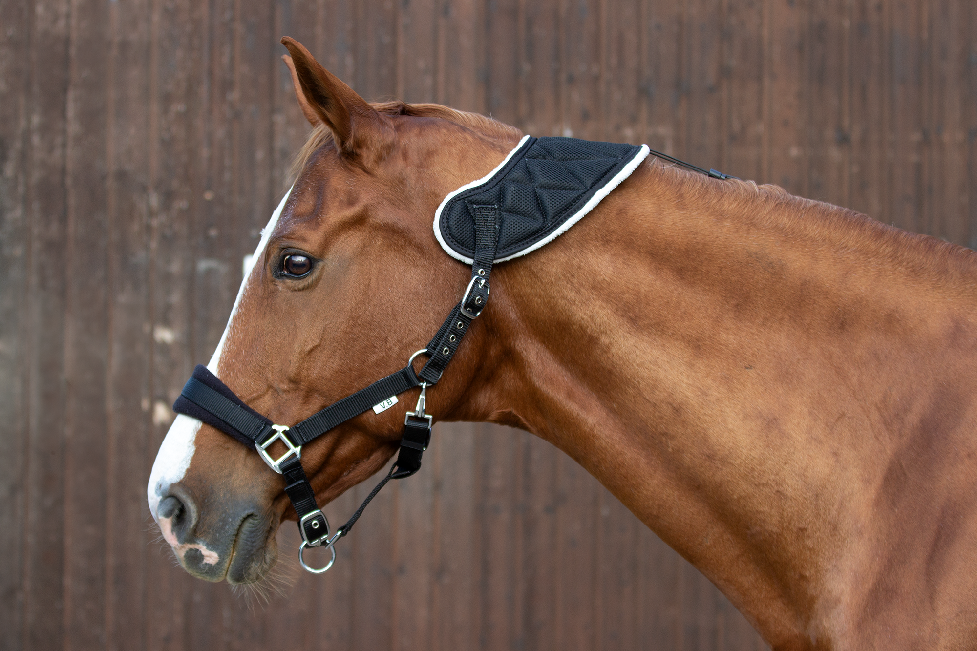 Halfter Akut mit Quittpad-3D-Textil Produktbild am Pferd