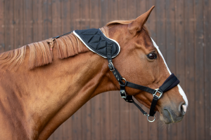 Halfter Akut mit Quittpad-3D-Textil Produktbild am Pferd