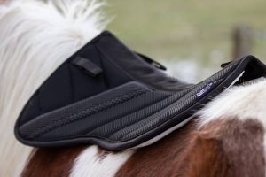 Isländer & Ponies