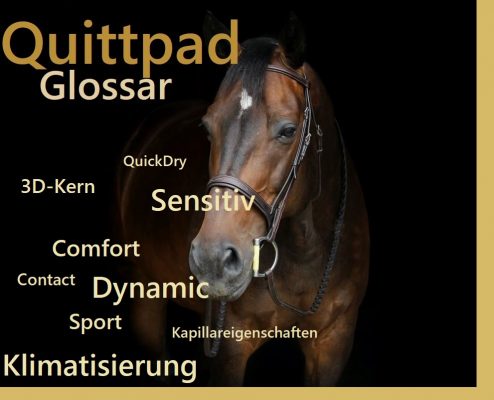 Quittpad(s) von A–Q 