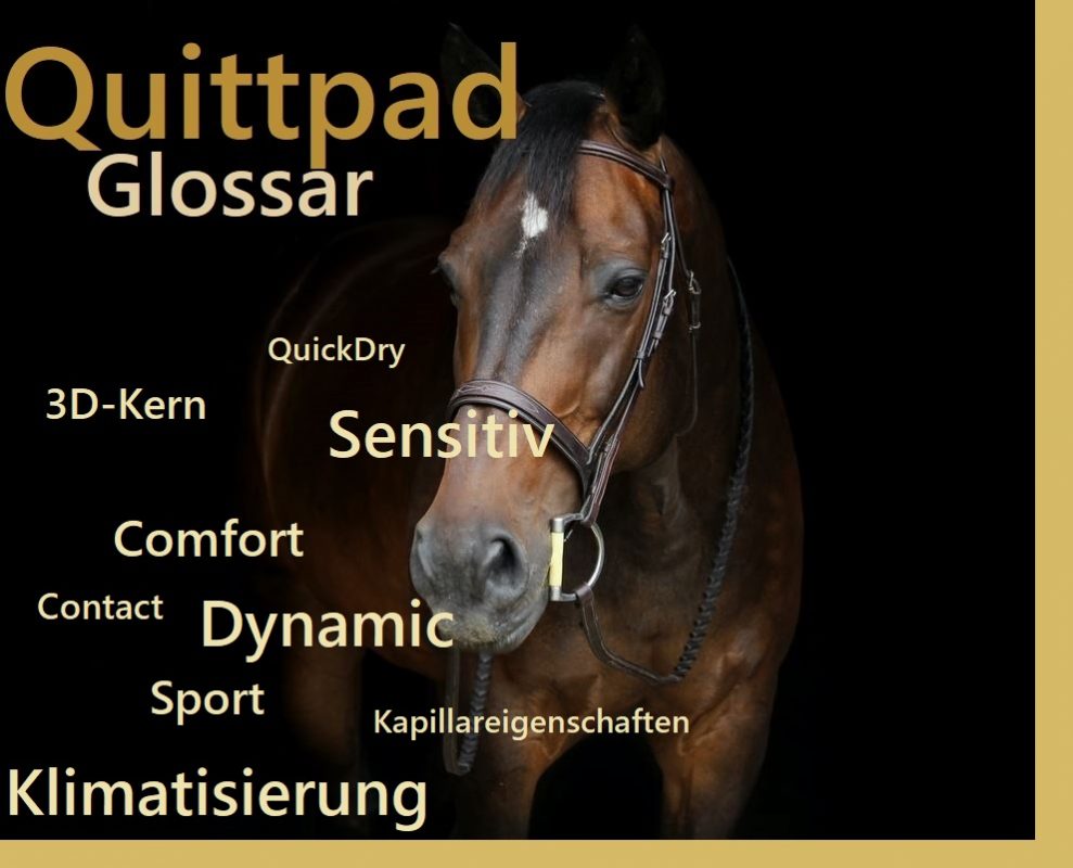 Quittpad(s) von A–Q