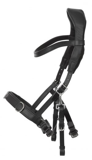 NeXaver® SMART Leder Longierzaum (mit Quittpad®inside)