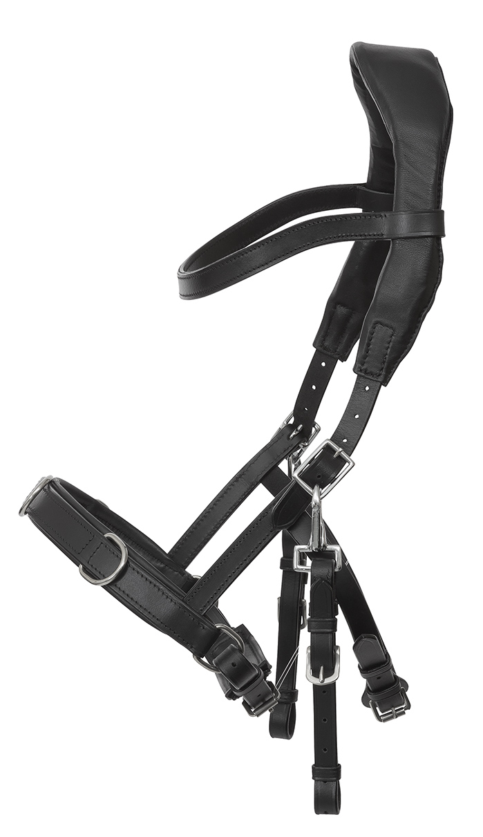 NeXaver® SMART Leder Longierzaum (mit Quittpad®inside)