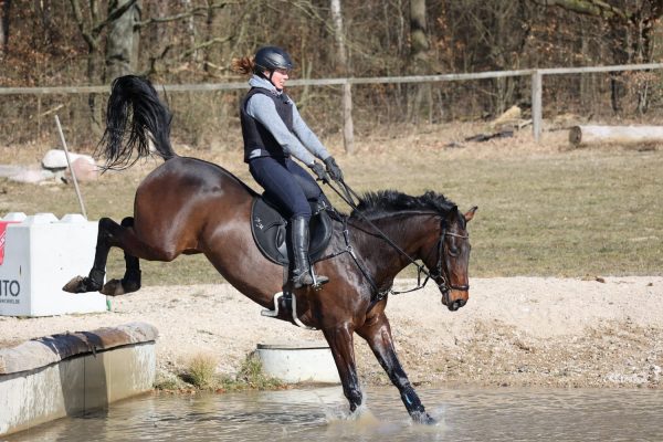 Quittpad Spring Satteldecke MONOBLATT, Nadine Marzahl