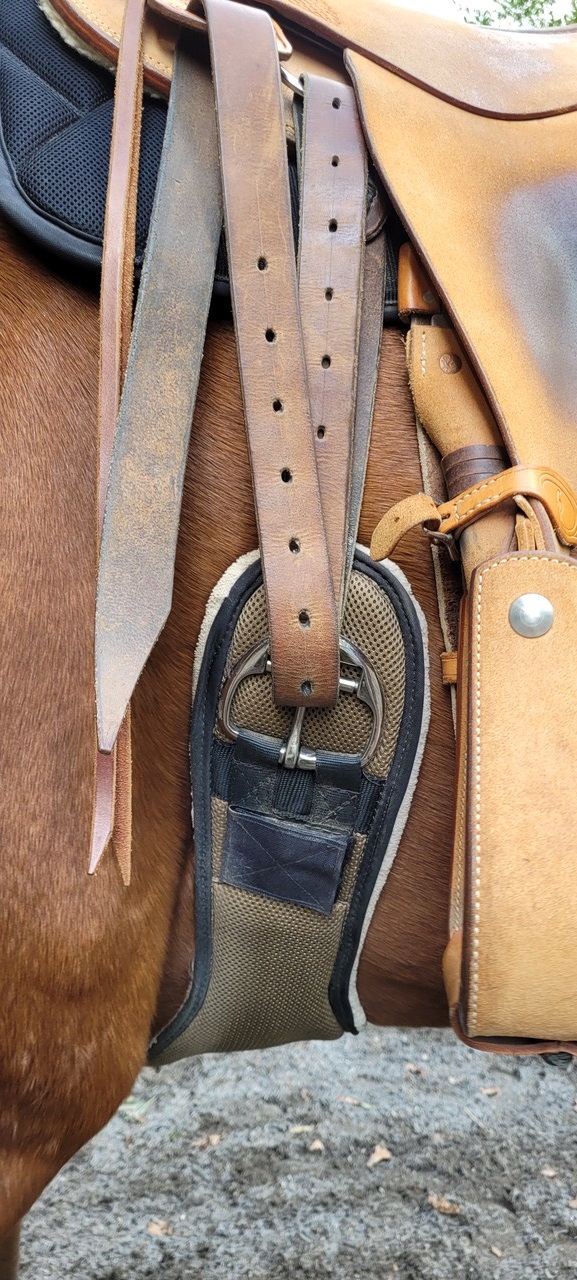 Westernsattel mit Quittpad Western Sattelgurt korrekt gurten