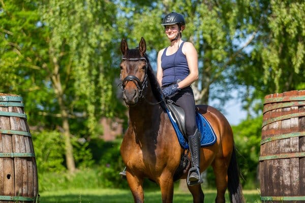 NeXaver® SMART Leder Trensenzaum