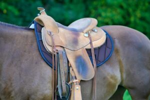 QUITTPAD® Western Pad Roundskirt, braun