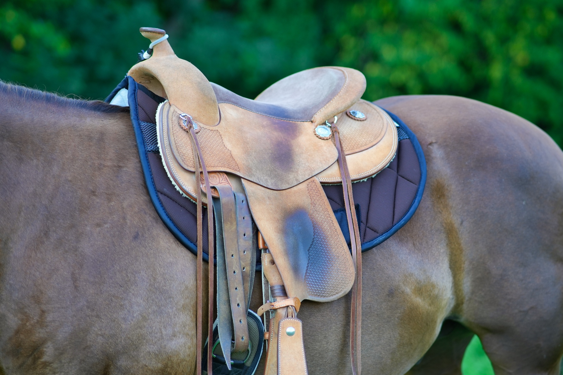 QUITTPAD® Western Pad Roundskirt, braun