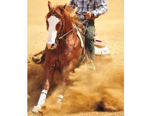 Westernreiten-was ist das?