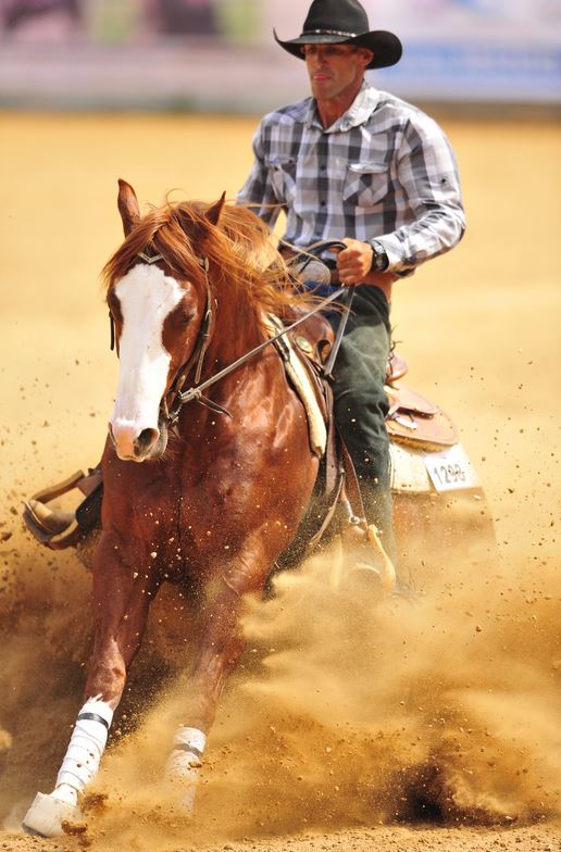 Westernreiten-was ist das?