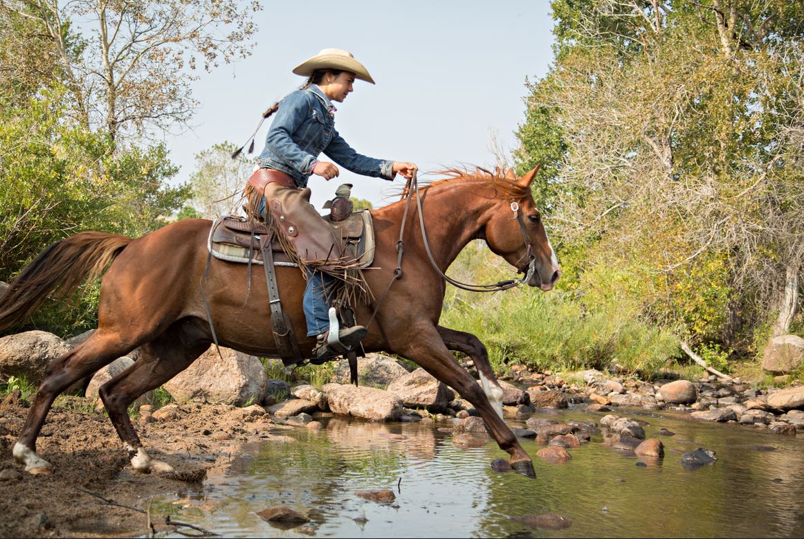 Westernreiten-was ist das?