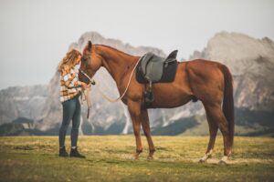 Pferd mit Dressursattel und QUITTPAD® Korrektur-Schabracke – anatomische Passform zur Stabilisierung der Sattellage