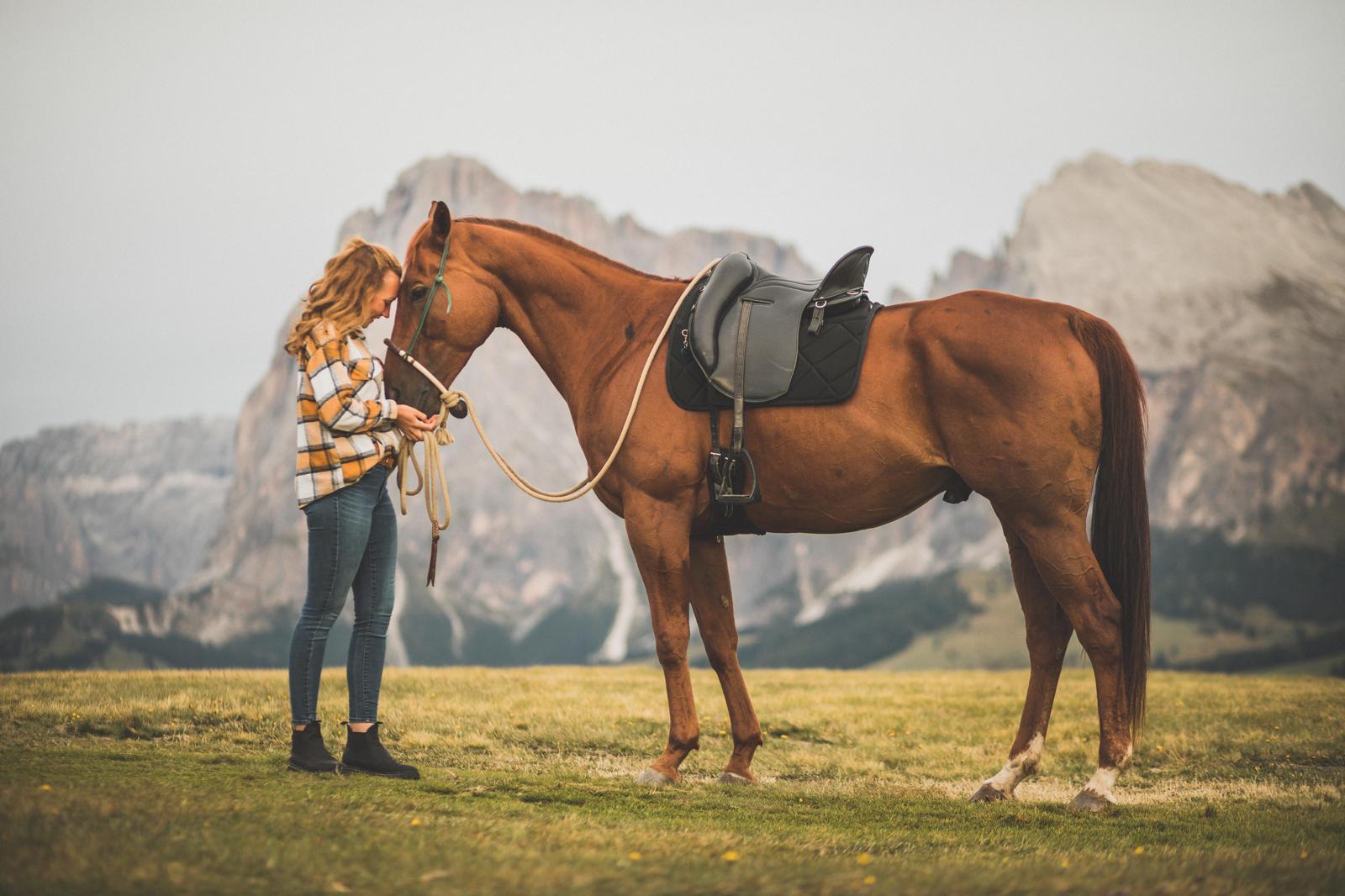 Pferd mit Dressursattel und QUITTPAD® Korrektur-Schabracke – anatomische Passform zur Stabilisierung der Sattellage