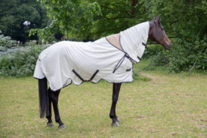 Quittpad Fliegendecke
