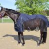 QUITTPAD® Decke "Spring Rain". Pferdedecke
