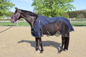 QUITTPAD® Decke "Spring Rain". Pferdedecke