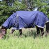 QUITTPAD® Regendecke, besonders bewegungsfreundlich