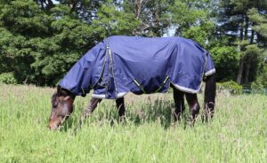 QUITTPAD® Regendecke, besonders bewegungsfreundlich