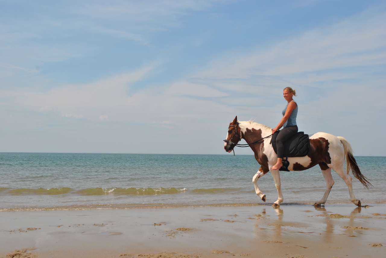 Reiterin auf einem scheckigen Pferd am Strand