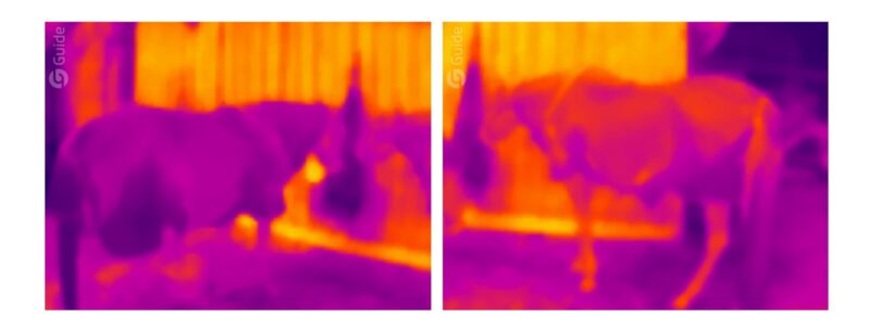 Thermografie-Vergleich zwischen herkömmlicher Fliegendecke und Quittpad Graphene Fliegendecke – Wärmeabgabe durch Graphene-Textil sichtbar