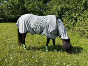 Braunes Pferd mit silberner Quittpad Graphene Fliegendecke auf sommerlicher Weide – leichter Fliegenschutz mit aktiver Klimaführung und hoher Bewegungsfreiheit.