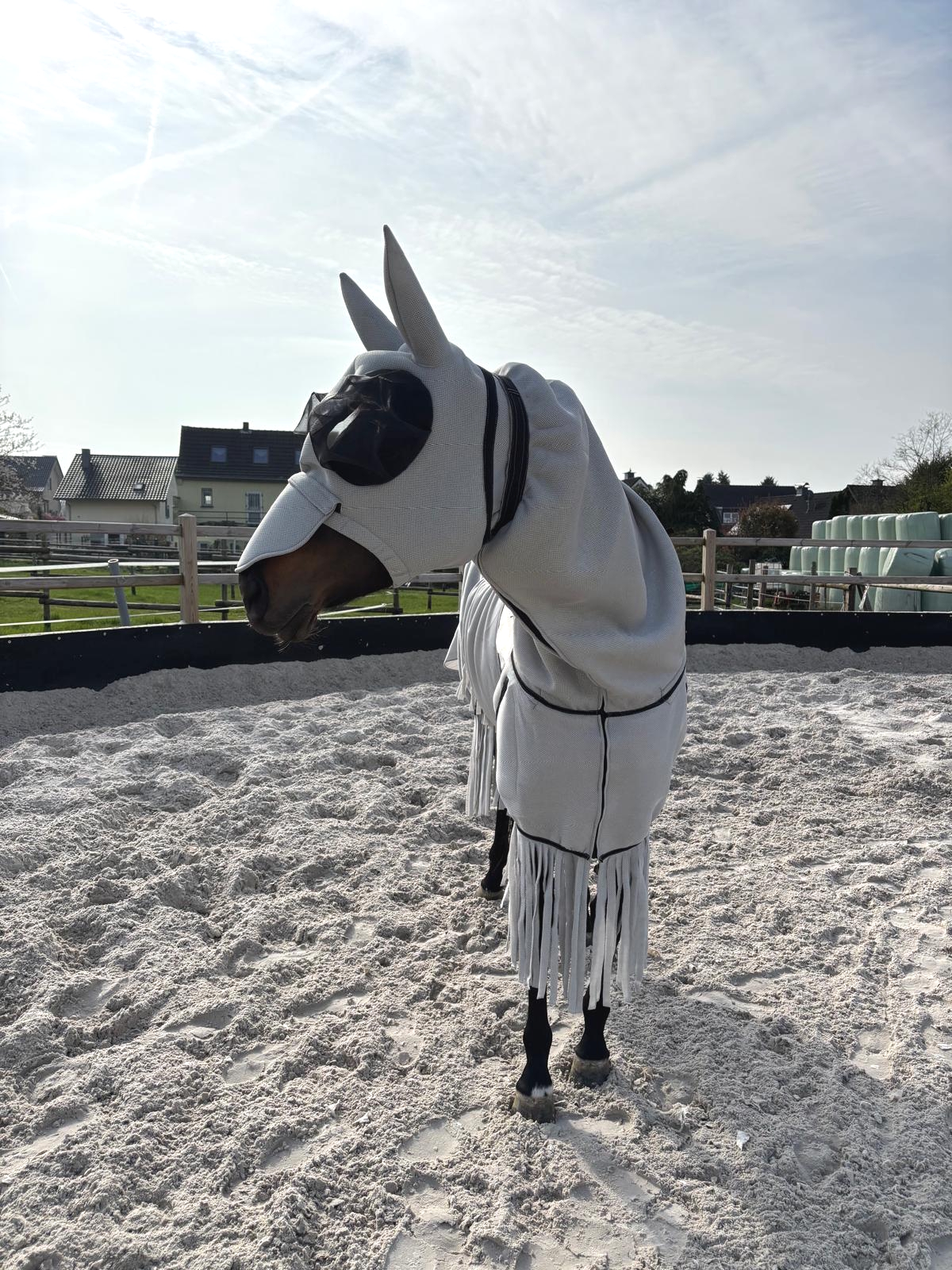 ekzemerdecke-pferd-ansicht-mit-kopfmaske