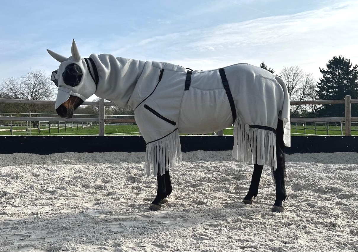 Ekzemerdecke Pferd mit Bauchlatz und Kopfmaske – kompletter Schutz im Einsatz