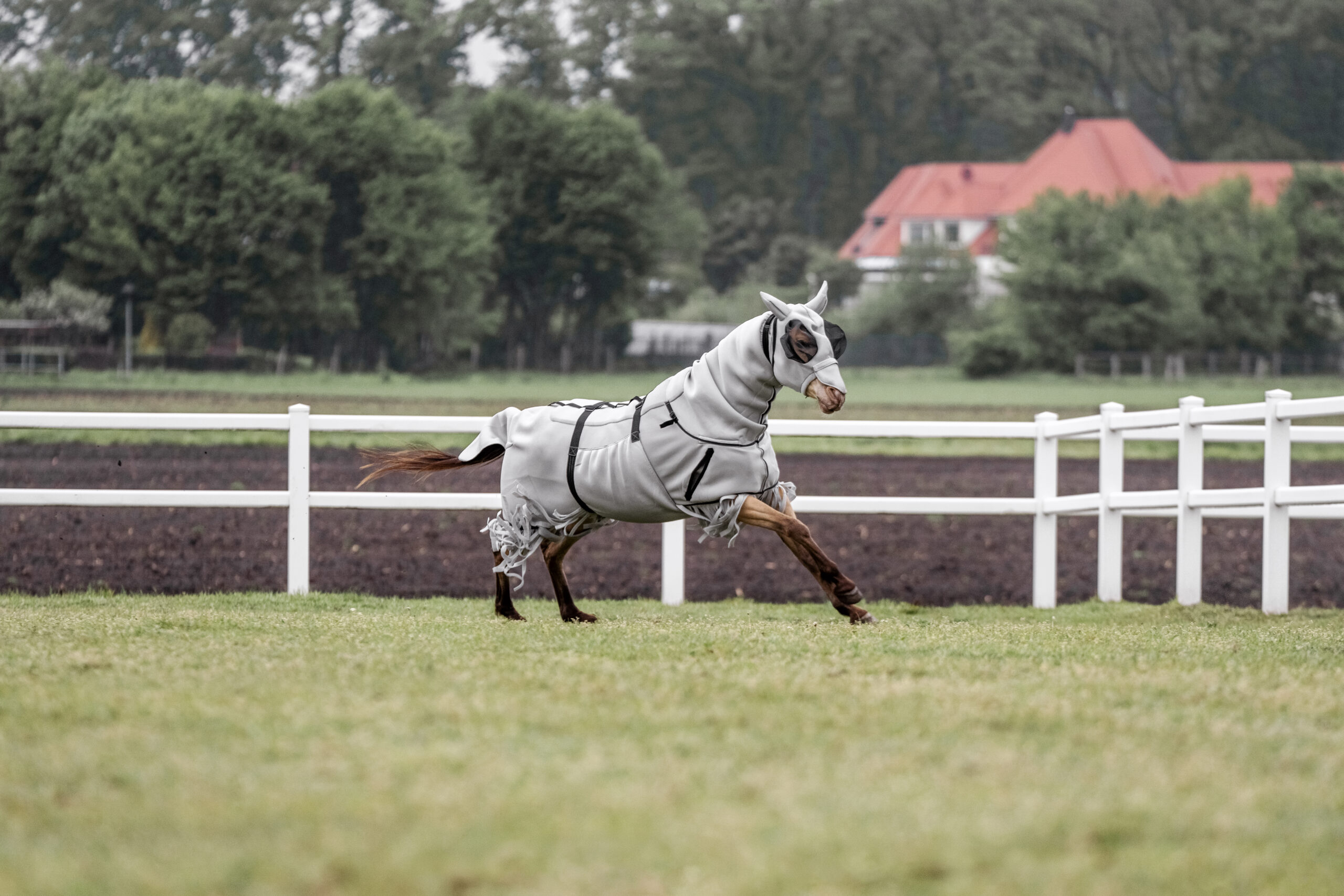 Quittpad Ekzemerdecke mit anatomischer Passform im Galopp