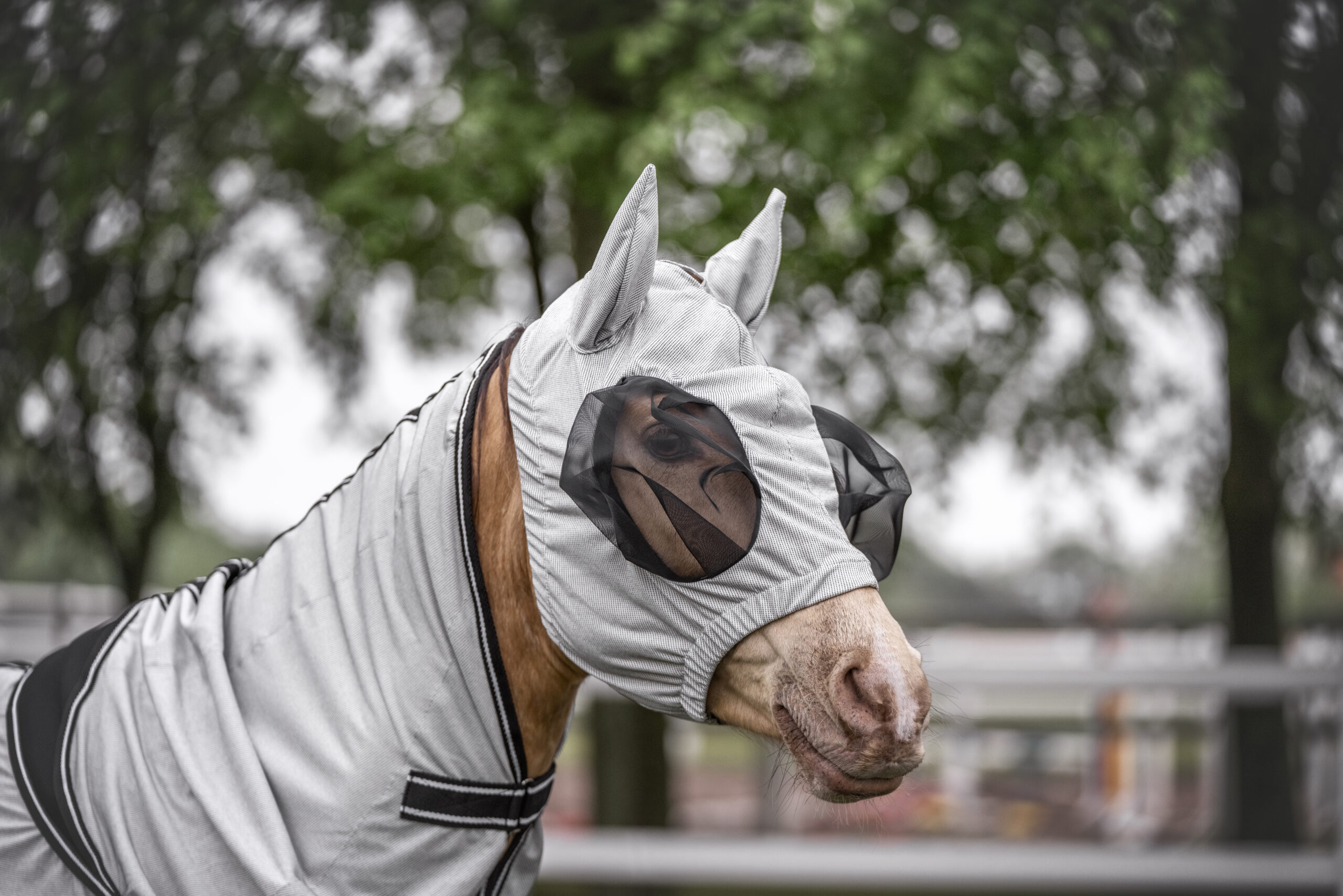 Quittpad Graphene Fliegendecke mit integriertem Halsteil und Kopfmaske