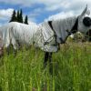 Pferd mit Quittpad Fliegendecke auf der Sommerweide – leichter Fliegenschutz ohne Hitzestau
